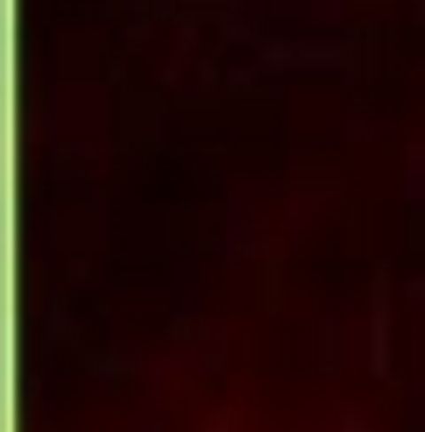 RIS.jpg