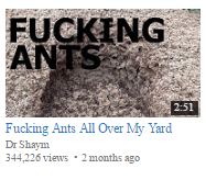 Untitled.png