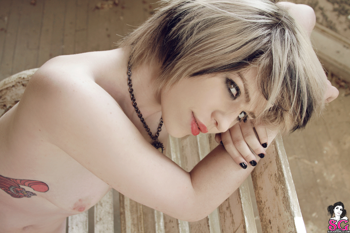 terrox-porcelaine-21.jpg