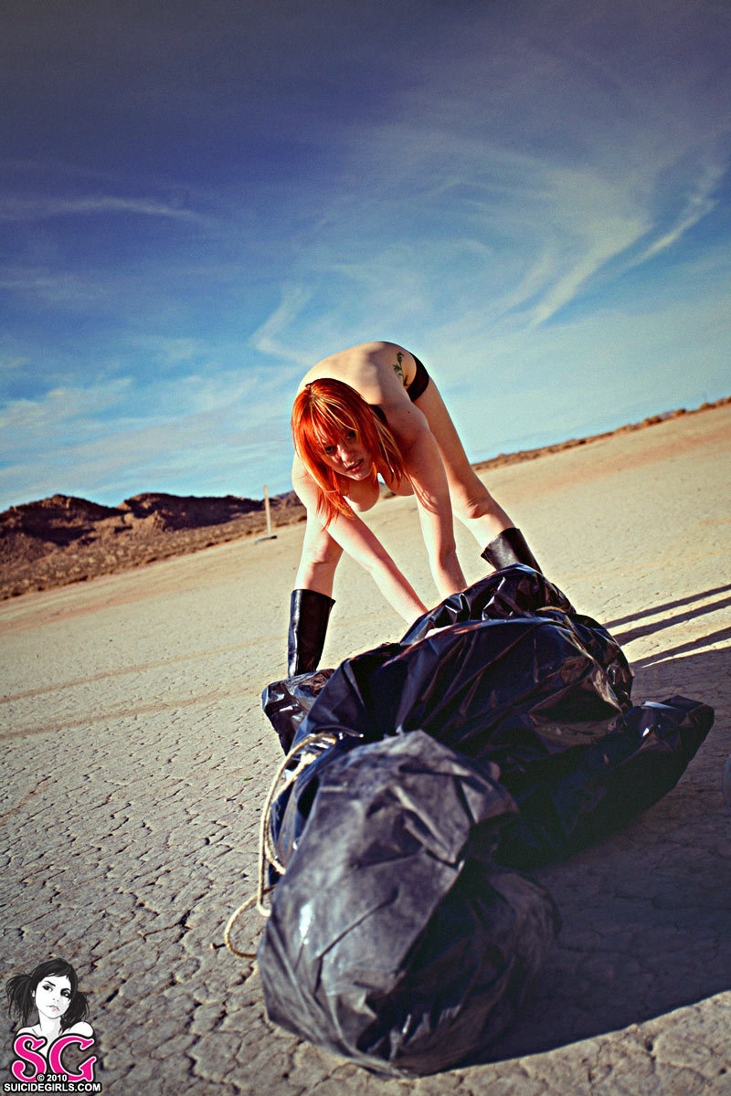 moxi-revenge-23.jpg