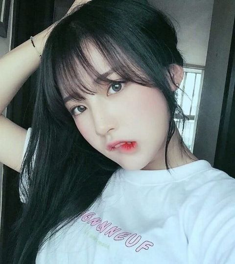 RIS.jpg