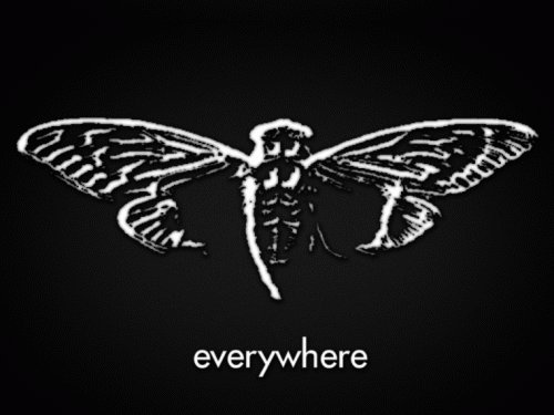 image11.gif