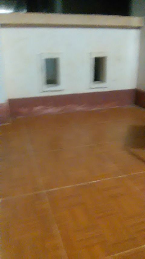 RIS.jpg