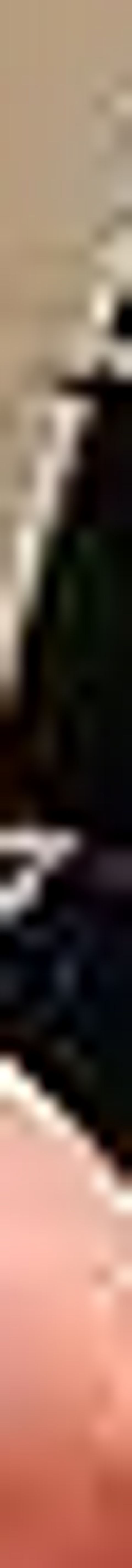 RIS.jpg