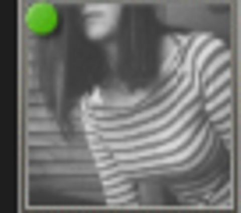 RIS.jpg