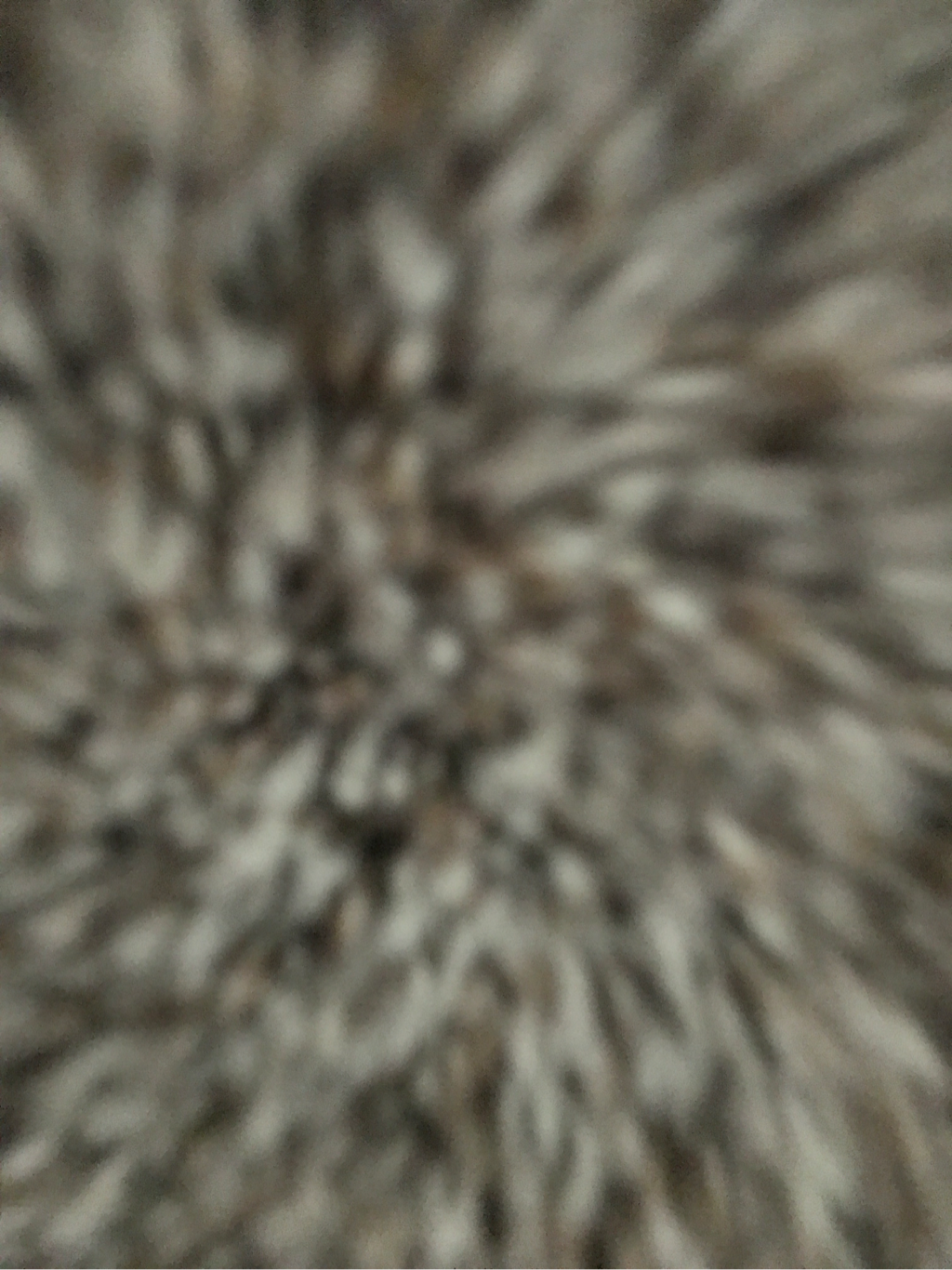 0e498d74-ff7d-11e6-8422-042dadbcae74
