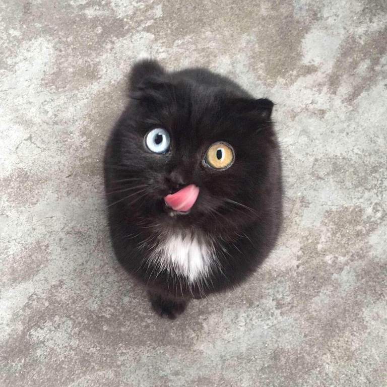 b3d3c689__o_ga0tTCVzn3FtRroQ8qYTGe8NJ3eU_QvF73r4_LeI.jpeg.jpg