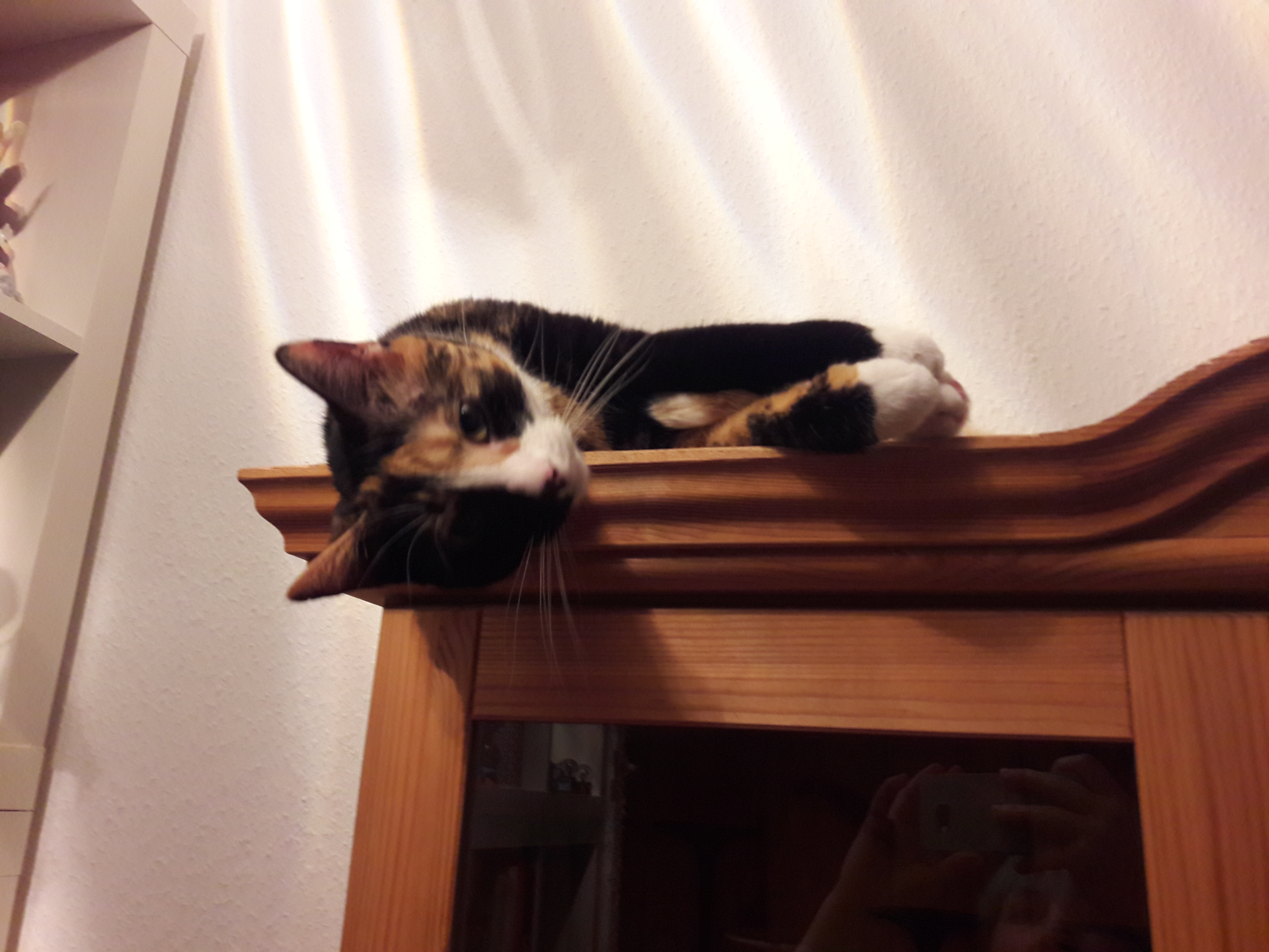 20170305_211617.jpg
