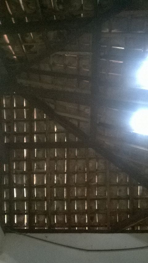 RIS.jpg