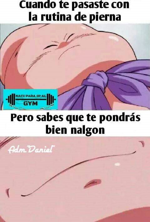 RIS.jpg