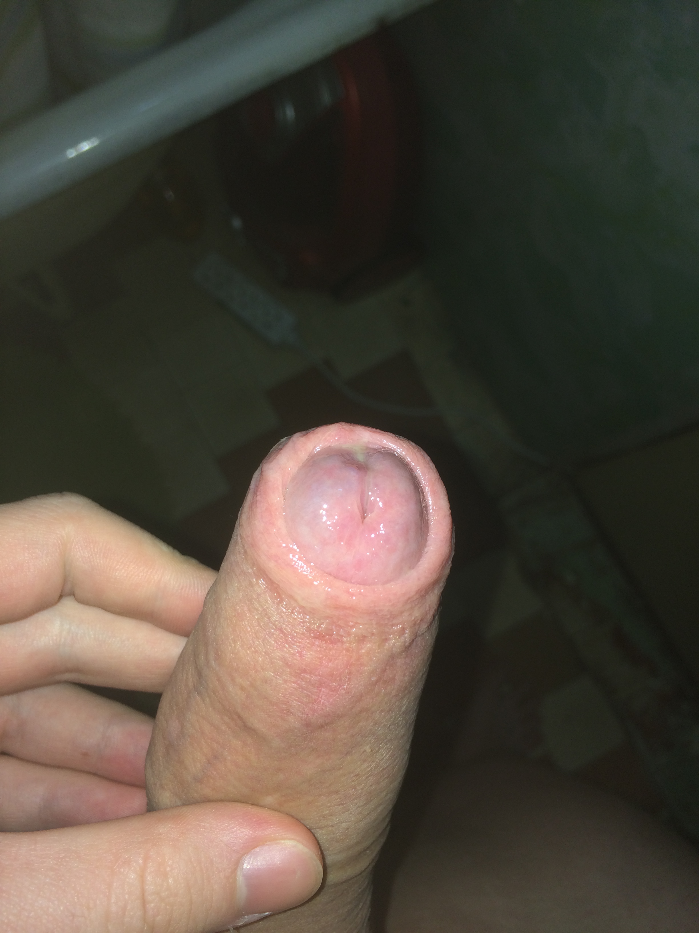 IMG_2998.JPG