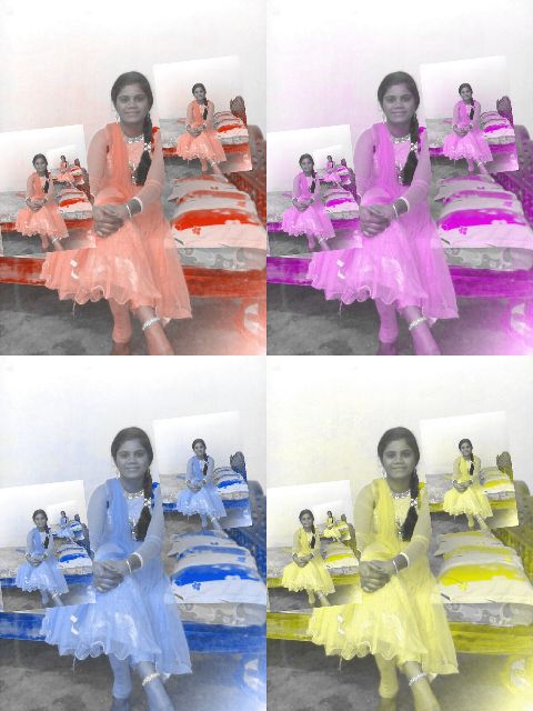 RIS.jpg