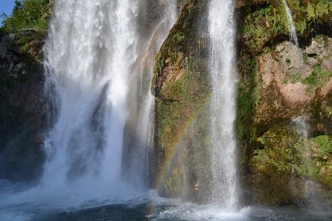 RIS.jpg