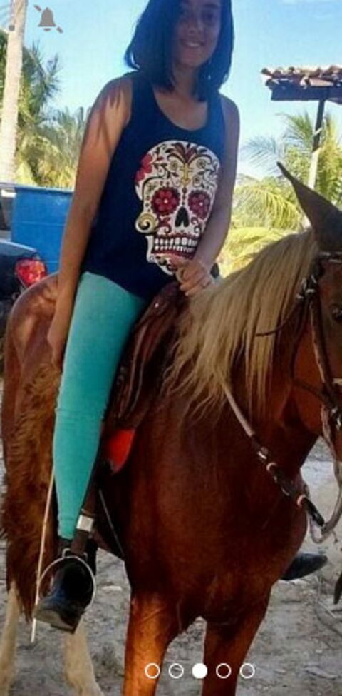 RIS.jpg