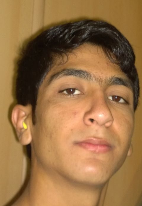 RIS.jpg