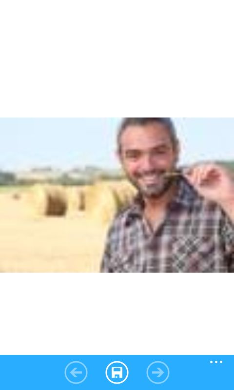 RIS.jpg