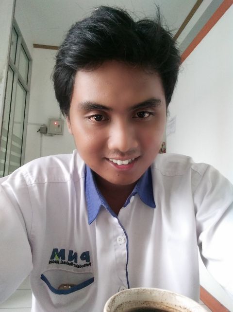 RIS.jpg