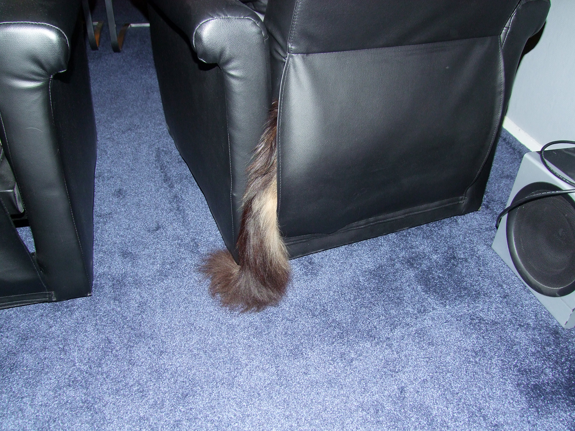 DSCF5794.JPG