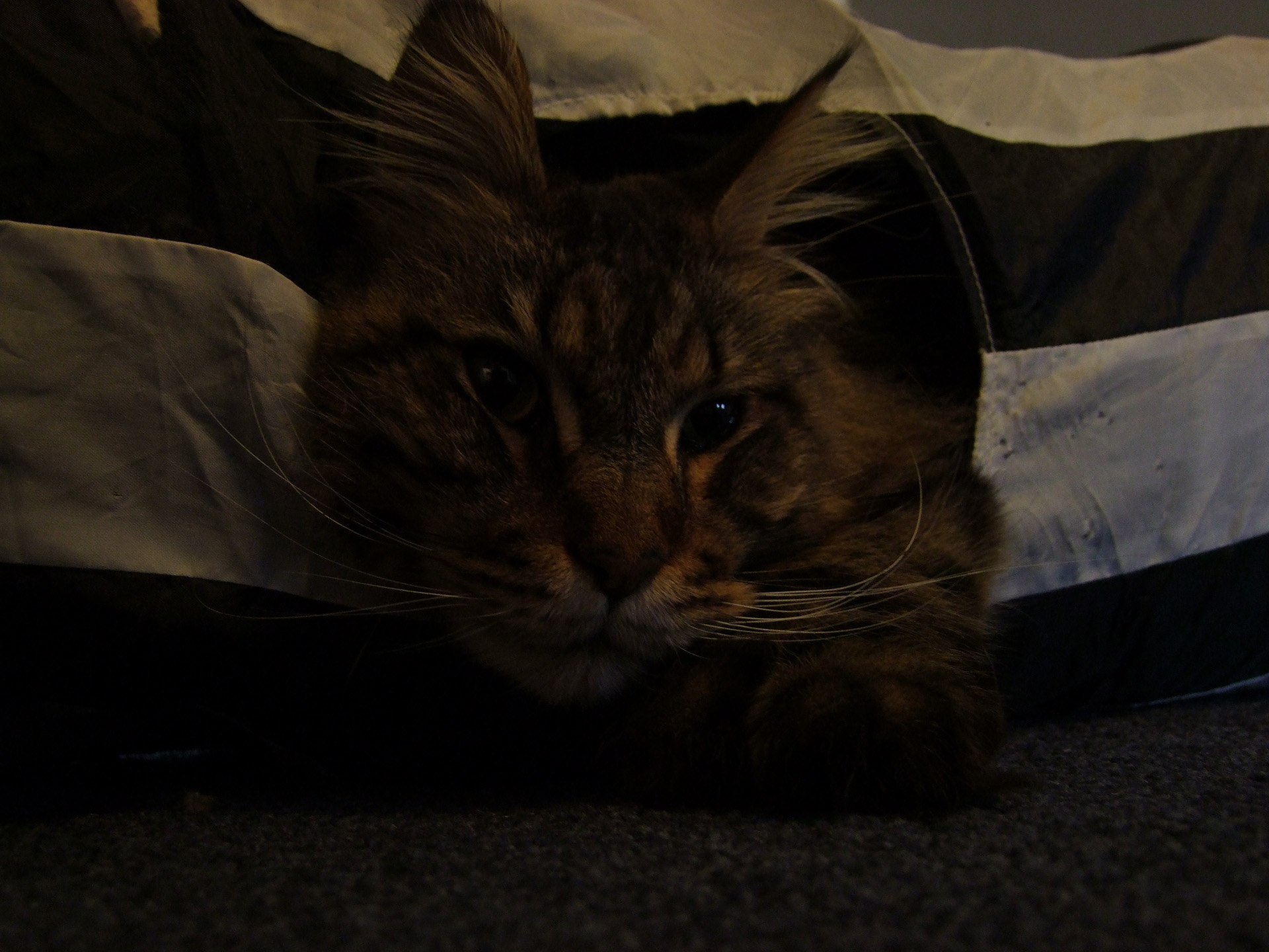 DSCF5825.JPG