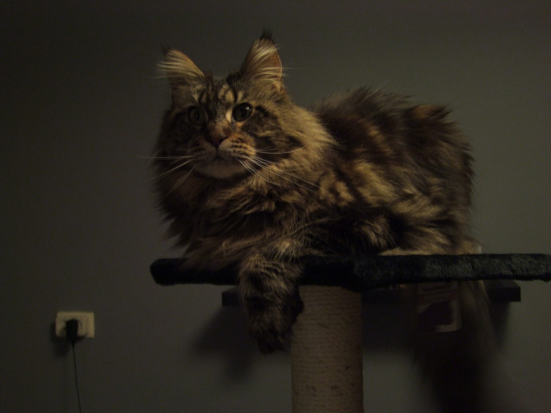DSCF5829.JPG