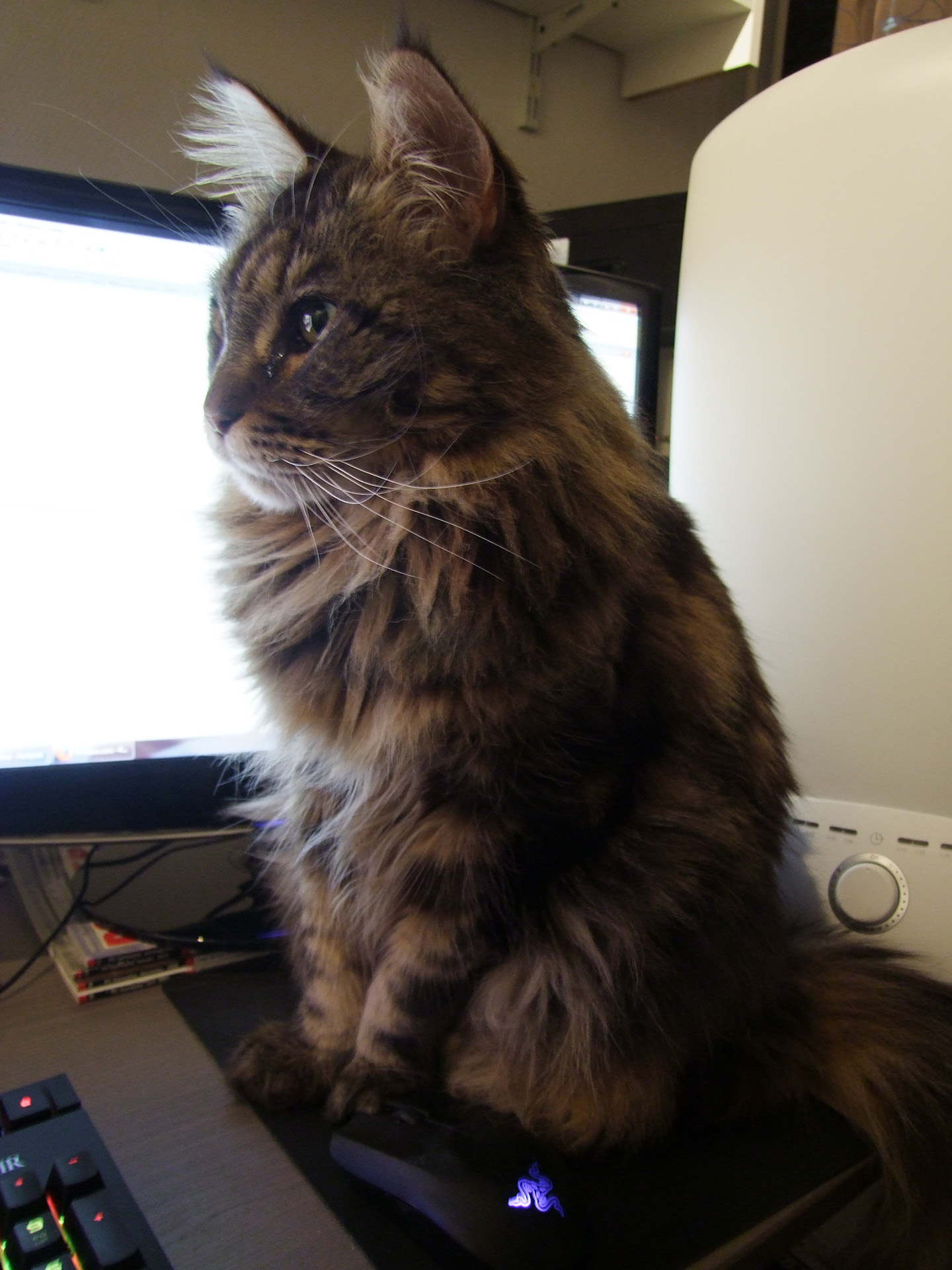 DSCF5818.JPG