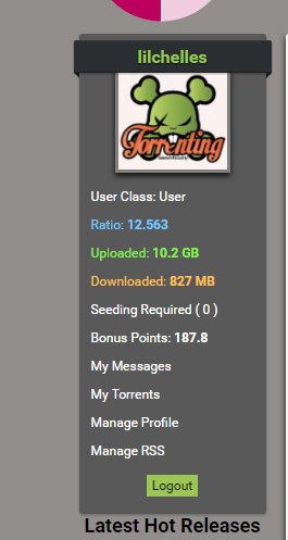 ScreenLink