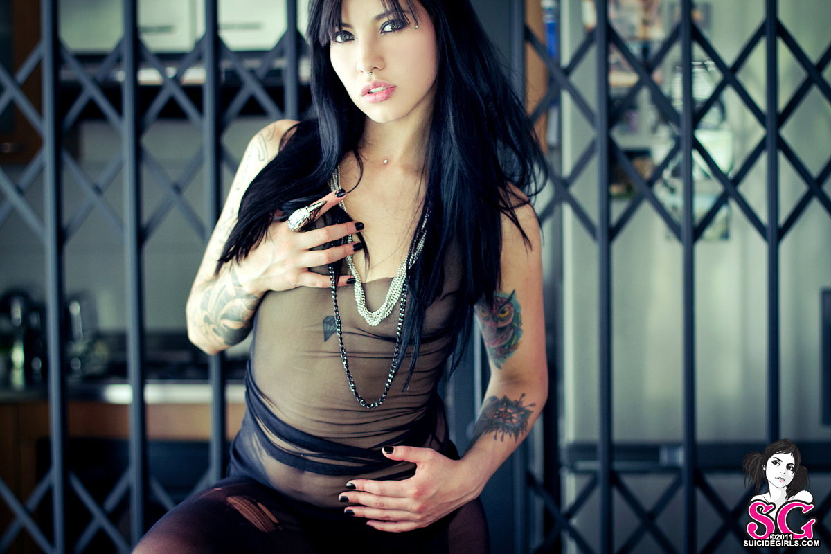 discoquette-transparent-01.jpg