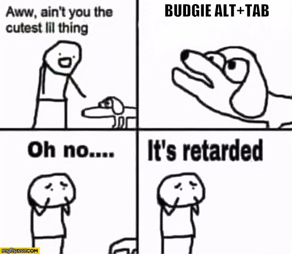1lp2xo.jpg
