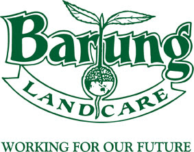 green-nomads-barung-logo