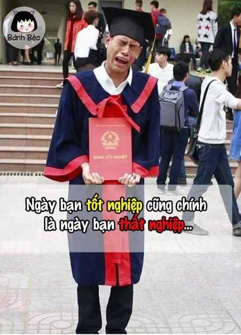 RIS.jpg