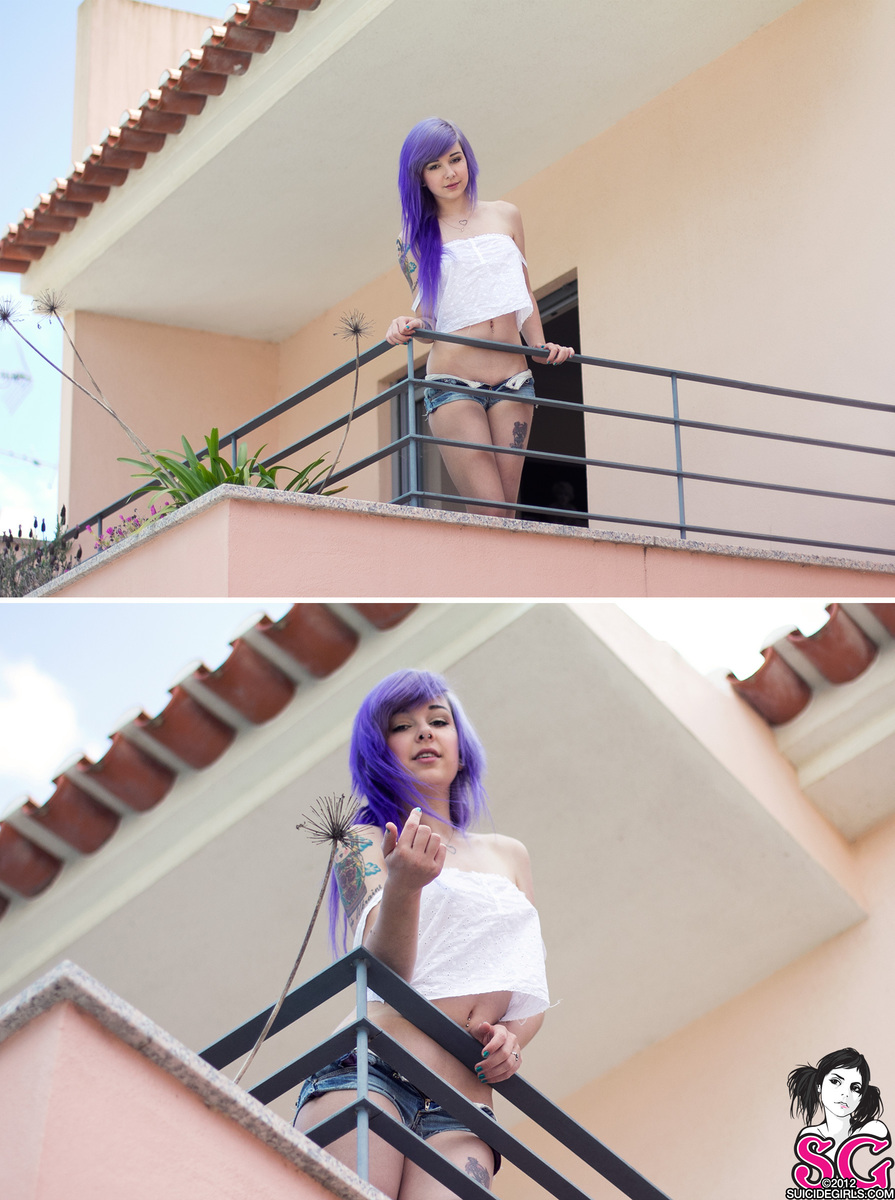 plum-howlingowl-01.jpg