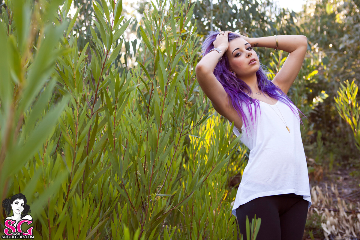 plum-forestshine-01.jpg