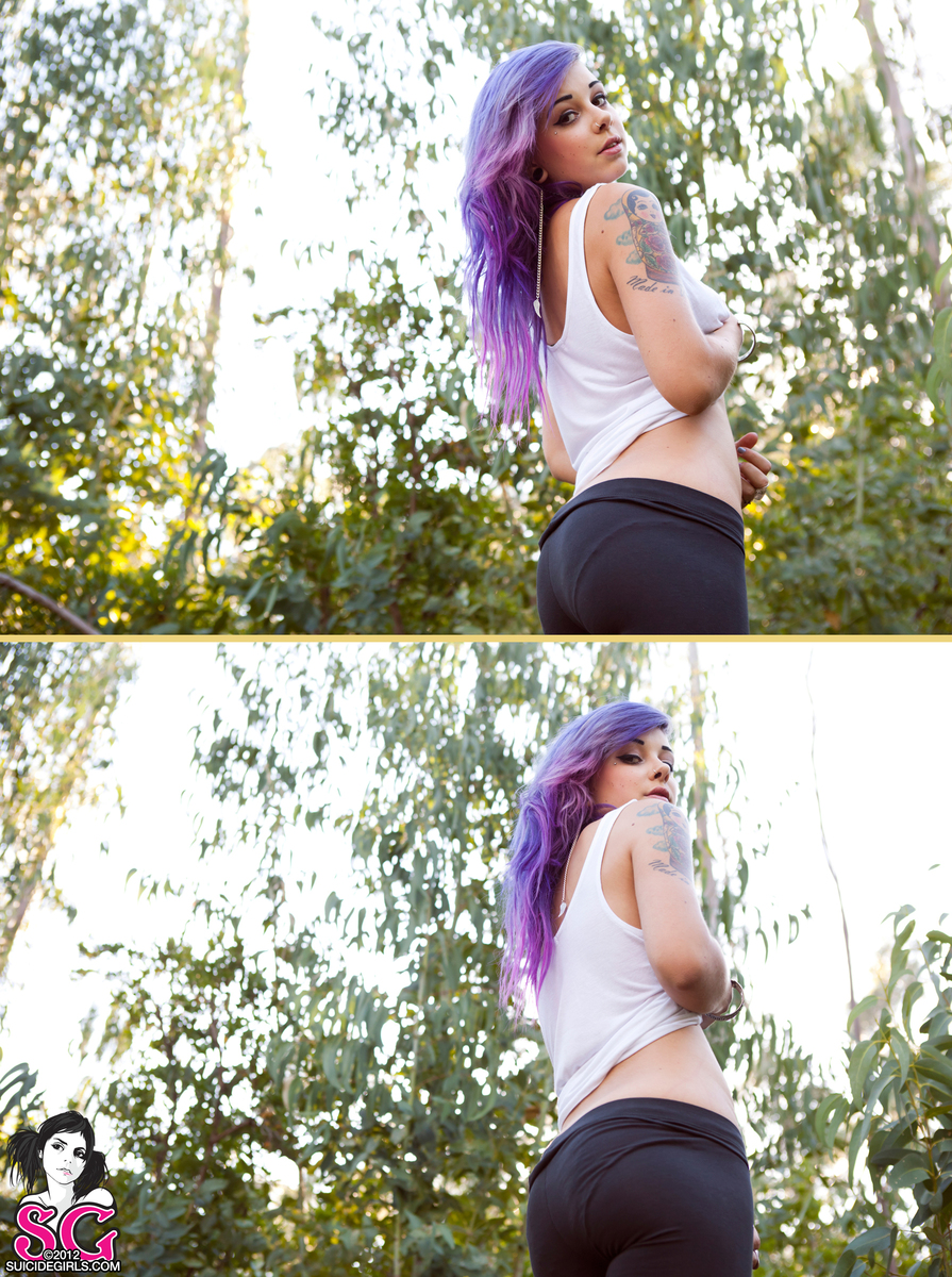 plum-forestshine-05.jpg