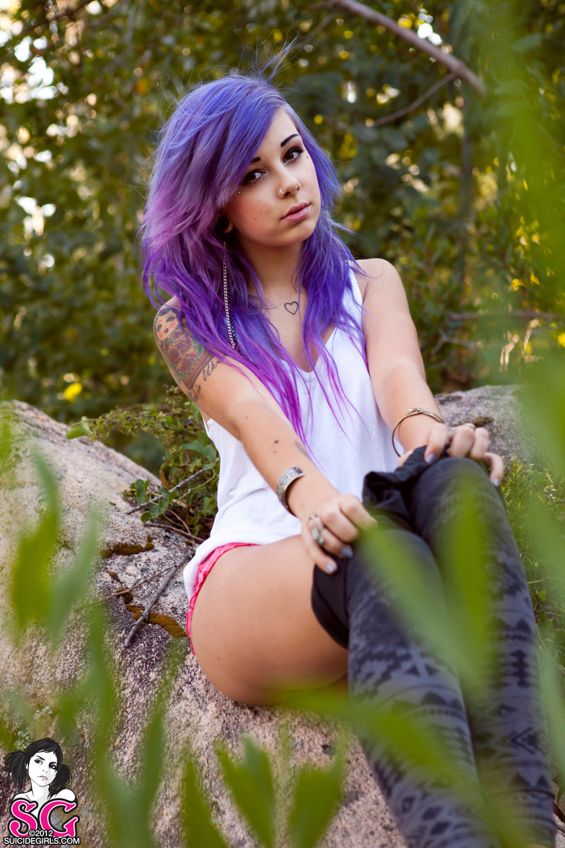 plum-forestshine-09.jpg