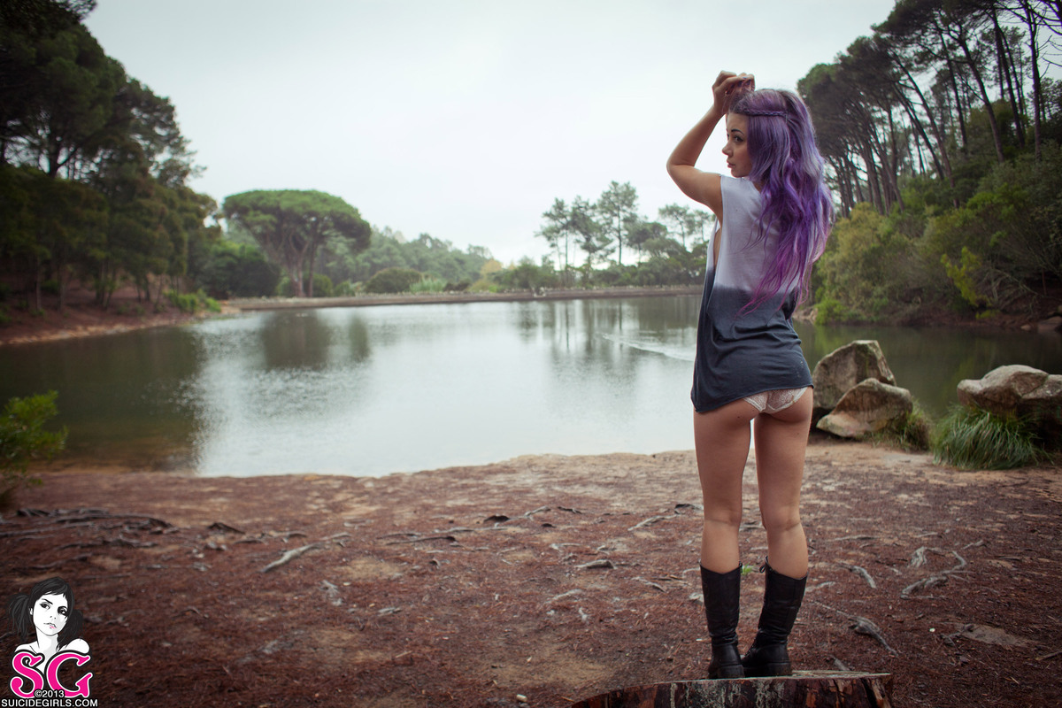 plum-wildfox-01.jpg