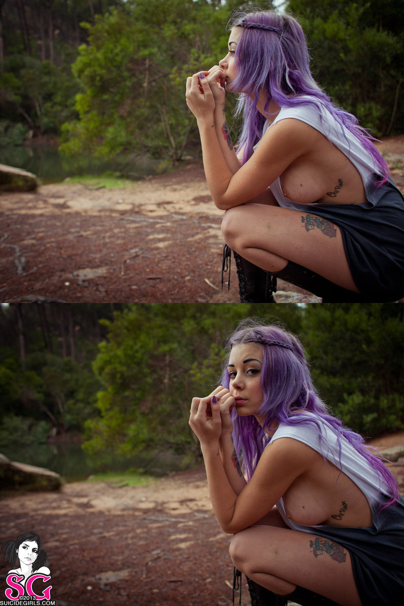 plum-wildfox-03.jpg