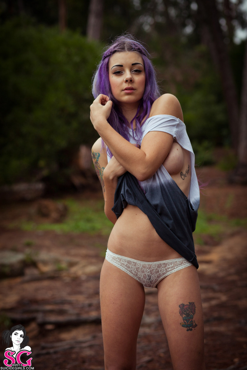 plum-wildfox-05.jpg