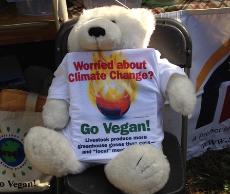 Worried about climate change? Go vegan!