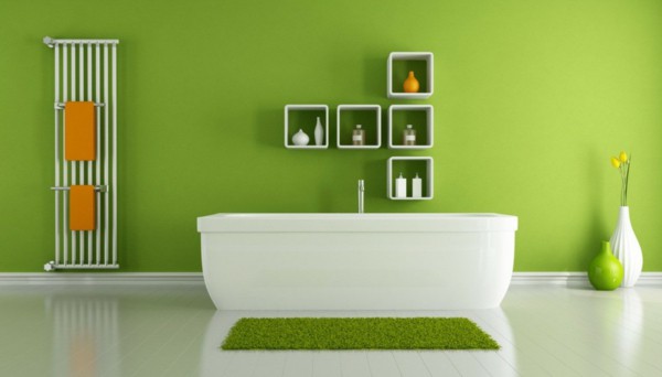 Expert House Painters in North Shore Area