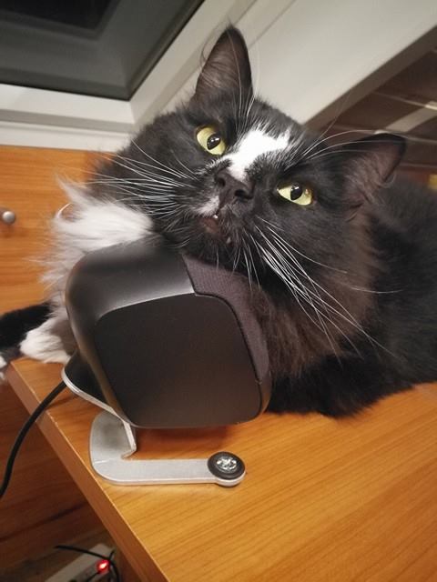 bebebe.jpg