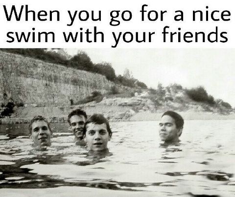 RIS.jpg