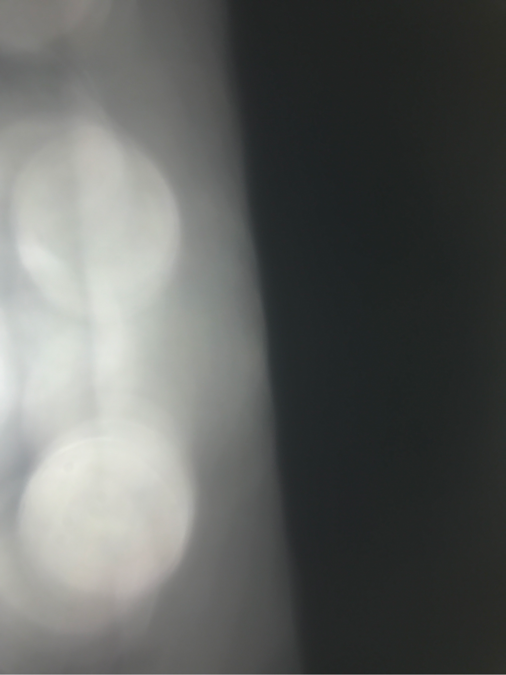 5c7fc656-11da-11e7-97c9-2711d8a32c59