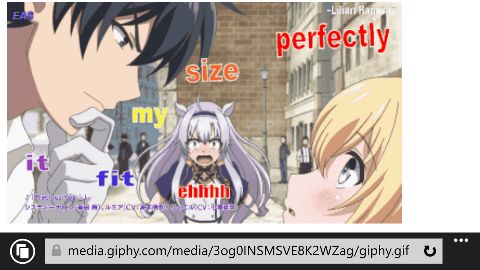 RIS.jpg