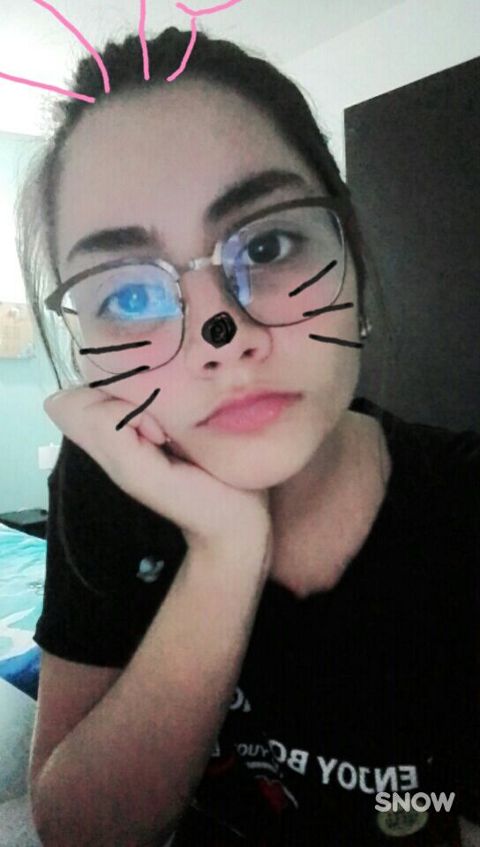 RIS.jpg