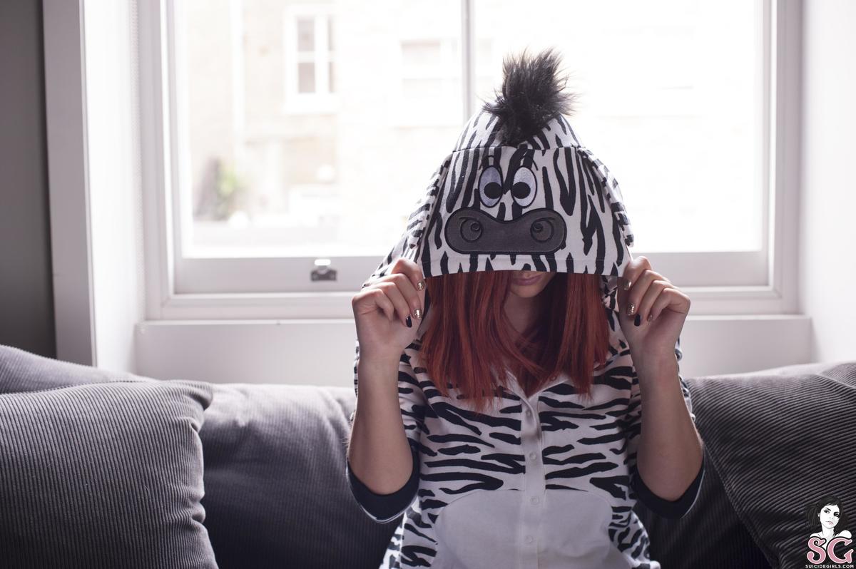 lucyv-zebra-01.jpg