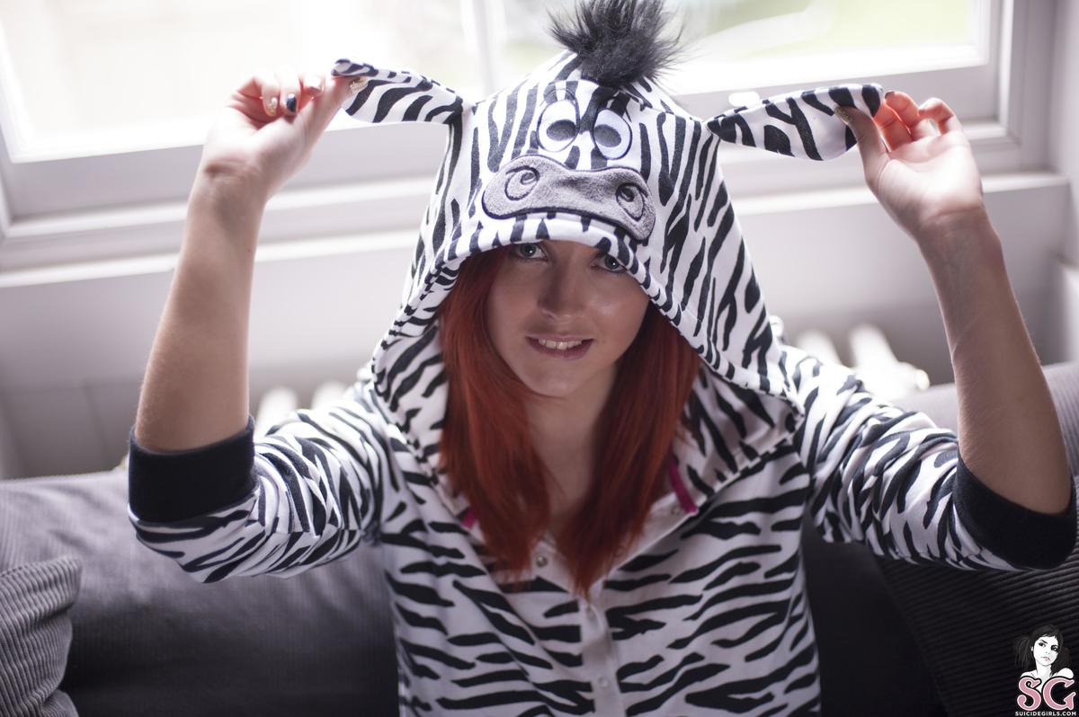 lucyv-zebra-03.jpg