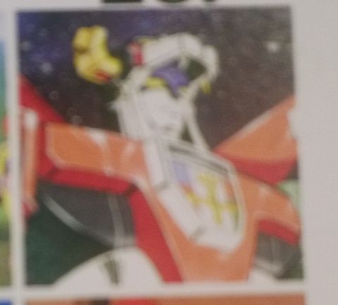 RIS.jpg