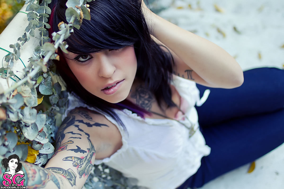 carrina-porchkitten-03.jpg