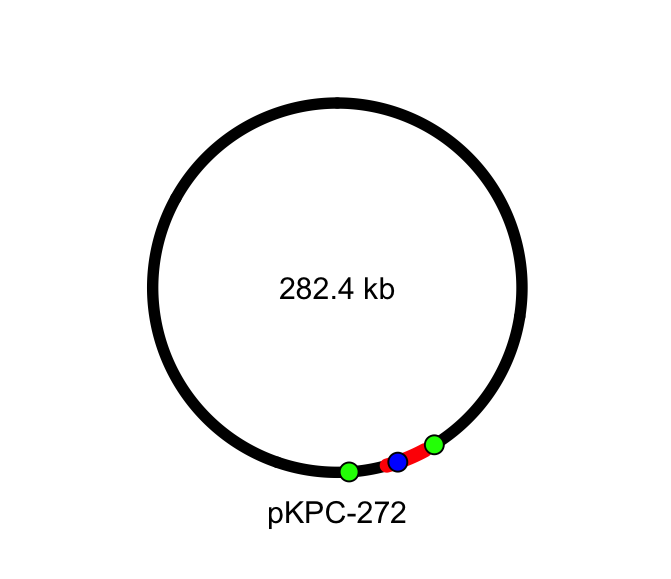 pKPC272