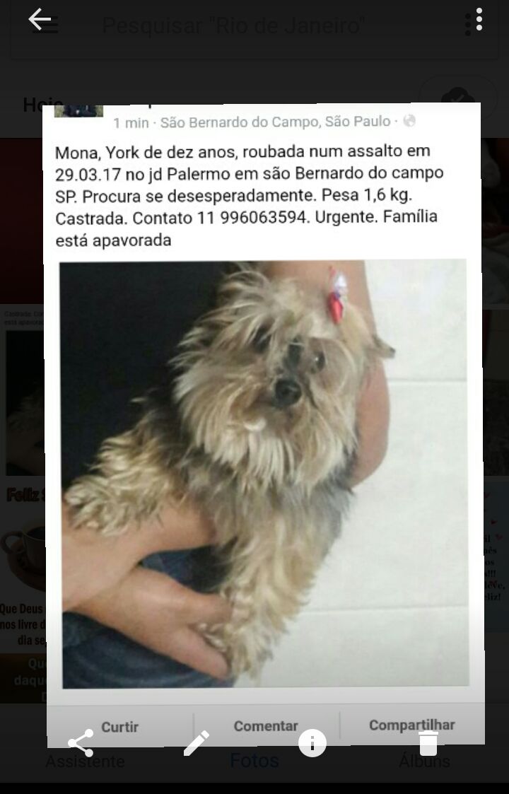 Ajudem a achar minha cachorrinha